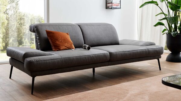 Interliving Sofa Serie 4460 – Zweisitzer SR90