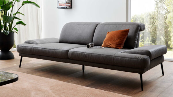Interliving Sofa Serie 4460 – Zweisitzer SR90