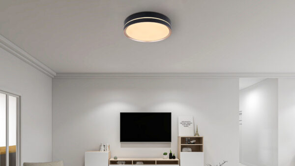 GLOBO Deckenlampe Manni